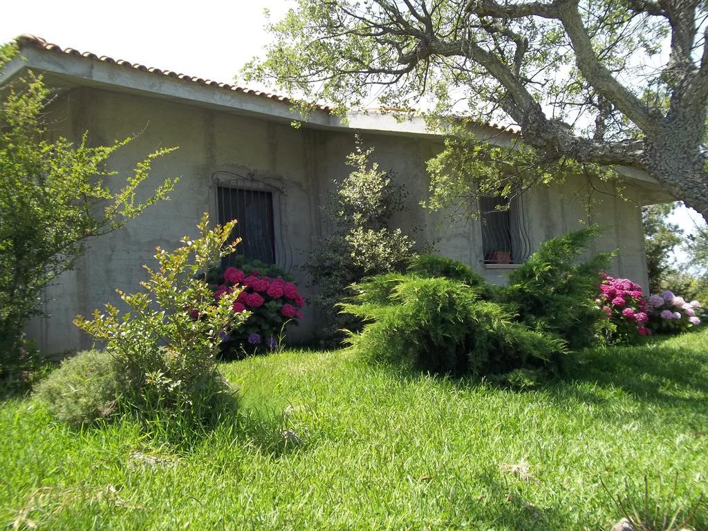 Il Vecchioliveto Di Ornella Bed and Breakfast Marrùbiu Habitación foto